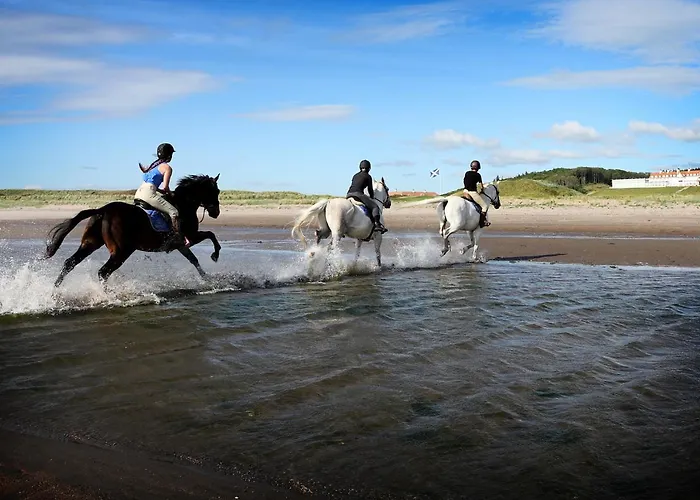 Best Hotels in Girvan UK for Unforgettable Stays