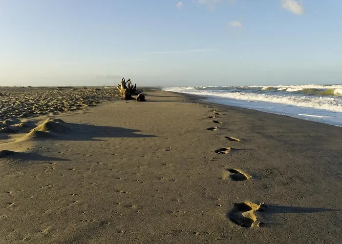 Hotel Viareggio Passeggiata