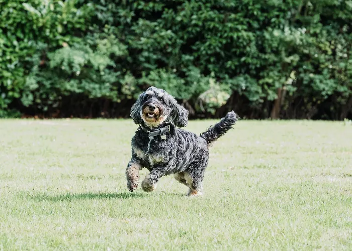 Best Nantwich Hotels for Every Traveler