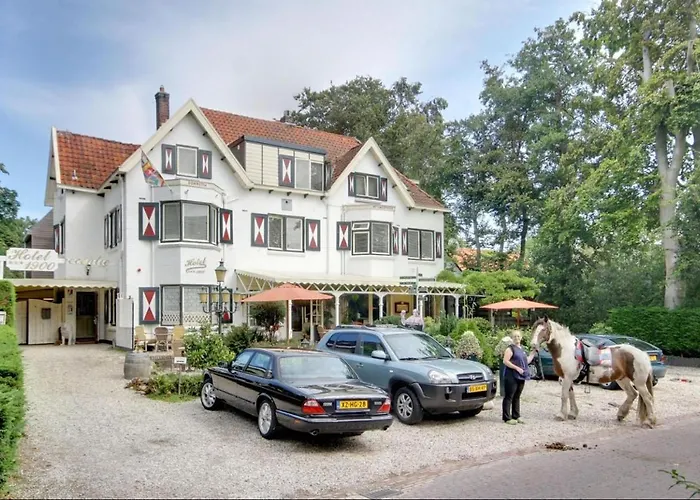 Topadressen hotels in Bergen NH